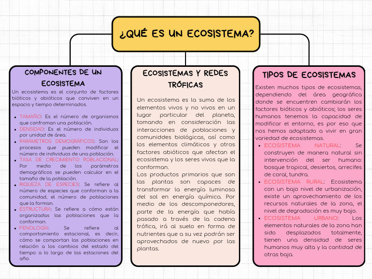 Mapa Conceptual de Ecosistemas | PDF | Ecosistema | Geografía Física
