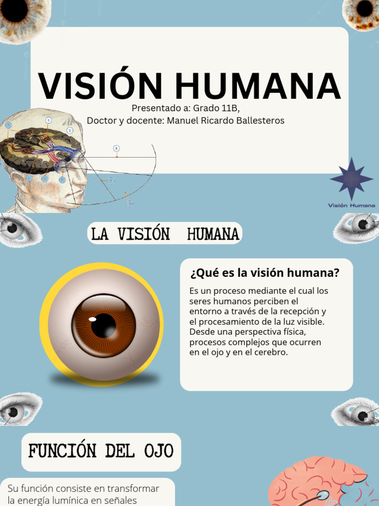 Visión Humana: Funciones y Discapacidades | PDF | Ciencia y matemáticas