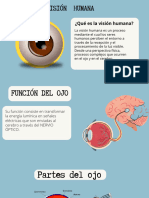 ¿Qué Es La Visión Humana?