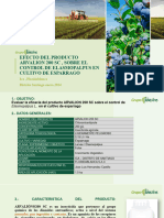 Informe Arvalion - Floridablanca Esparrago Kam1