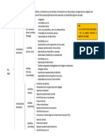 Algas Esquema