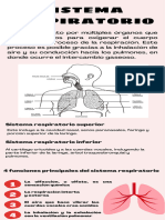 Infografía Funciones Del Sistema Respiratorio Color Rojo y Rosa