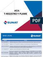 T Registro Plame 5 PDF Sunat
