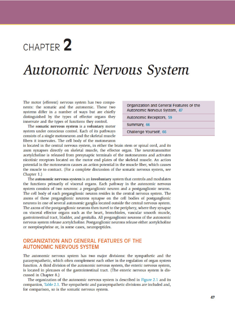 Organization and General Features of The Autonomic Nervous System | PDF ...