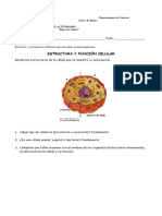 Guía N°1 - 8vo - Biología - Tipos de Celulas