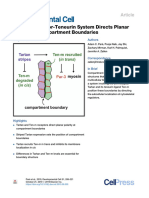 An LRR Receptor-Teneurin System Directs Planar Polarity at Compartment Boundaries