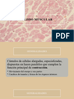 Tejido Muscular Practica