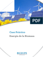 Caso - Practico - Energia de La BiomasV2