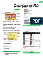 AULA 1- HAM IV- LESÕES ELEMENTARES DA PELE_240312_112249