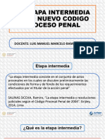 La Etapa Intermedia en El Proceso Penal Peruano MRB