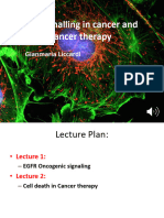 Cancer Lecture 1 2019