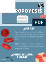 Eritropoyesis 