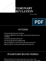 Pulmonary Circulation - 240217 - 215030