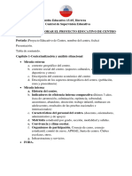 Estructura Documento PEC y PCC