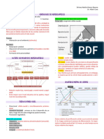 Resumen Neurodesarrollo