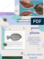 CHARLA Pescados Planos