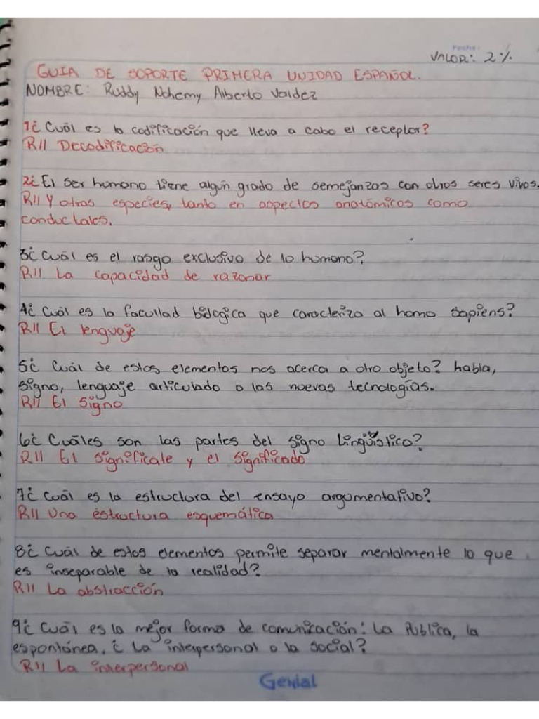 GUIA EN ESPA OL visual data 3