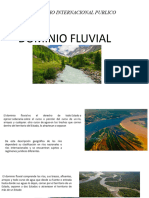 Dominio Fluvial 16