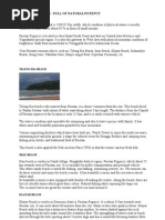 Download Pacitan Tourism by koprot SN71399181 doc pdf