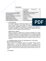 Formato de Informe Pericial