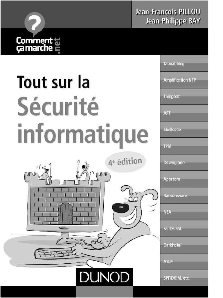 Tout Sur La Sécurité Informatique (4è Ed, 2016) - (Dunod) - Pillou, Bay ...