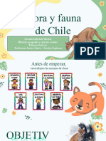 Flora y Fauna de Chile Historia