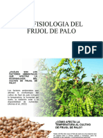 Ecofisiologia Del Frijol de Palo