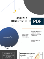 Sistema Digestivo I-Af II - Anatomia