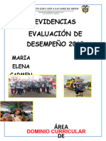 Evidencias Documentales 2019tabla de Resumen