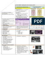 Xv-B.pathologic Fetal Kidneys 2017