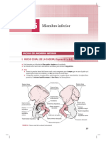 Osteologia Miembro Inferior