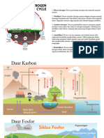 Muassis - Lintasan Daur - Nutrient Cycle