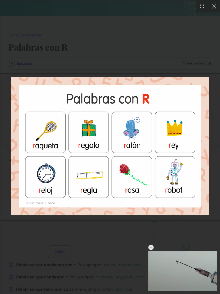 Palabras que comienzan y terminan con R | PDF | Gramática | Sintaxis