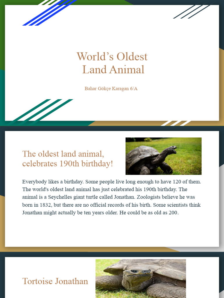 World's Oldest Land Animal | PDF