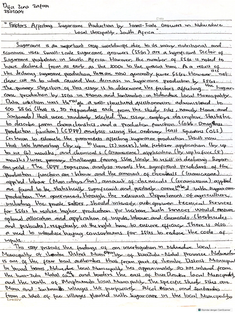 Text Essay | PDF