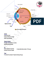 PHYSICS LECTURE 6 Human Eye and Vision ENGLISH PDF NOTE UPLOADED
