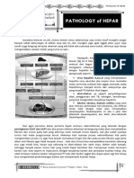 Hepatology of Hepar