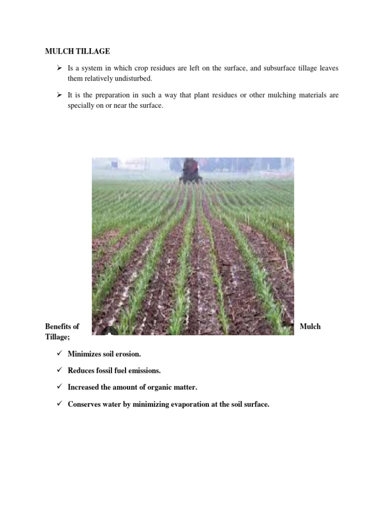 Mulch Tillage PDF