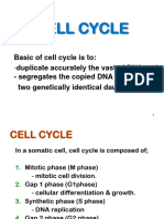 2 Cell Cycle, DNA