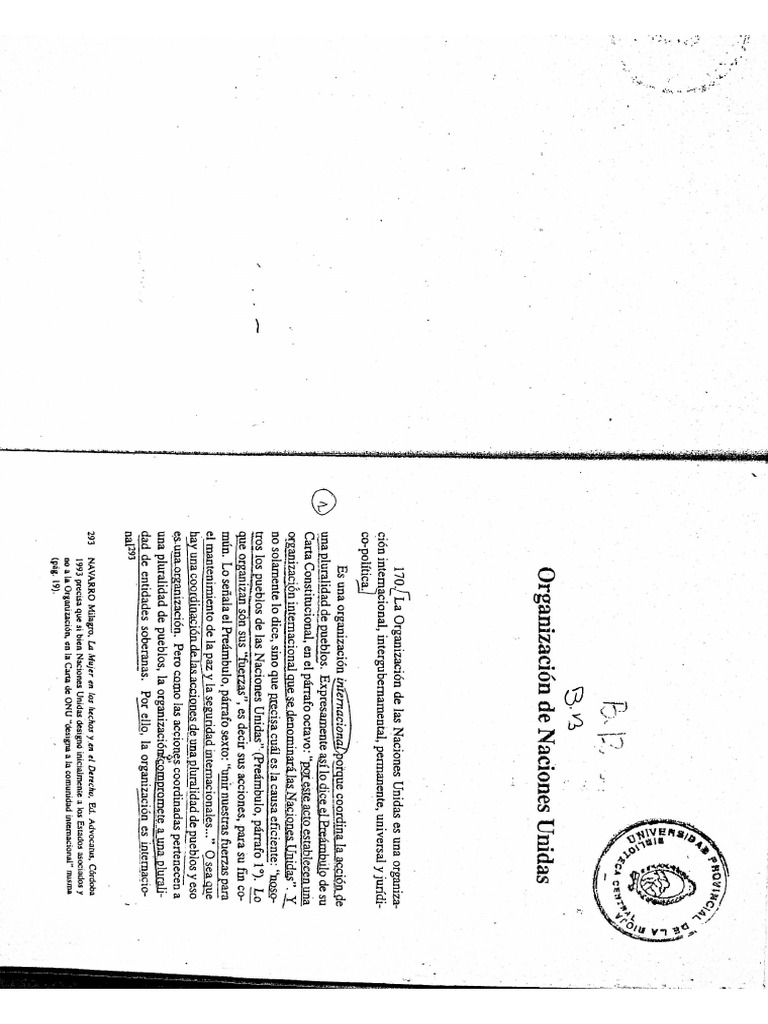 Organizacion De Las Naciones Unidas Pdf