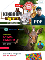 Animal Kingdom Group D 