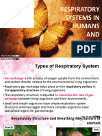Respiratory Systems in Humans and Animals