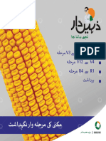 Kag - Maize - E-Flyer - 2022