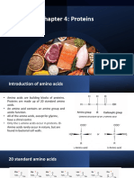 (Biochem) Chap 4 - Protein