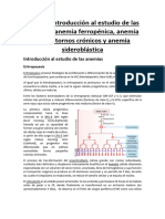 Tema 2 Anemias Ferropenicas, ATC y Sideroblasticas