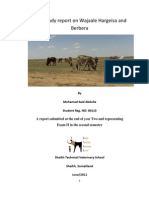 Field Study Report On Wajaale Hargeisa and Berbera