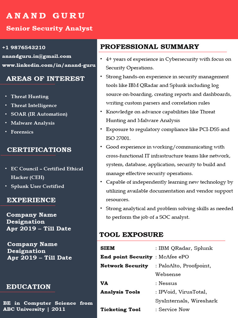 Sample+CV+for+3-6+Years+copy | PDF | Security | Computer Security