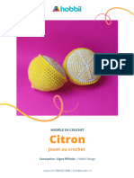 Citron Modèle de Crochet