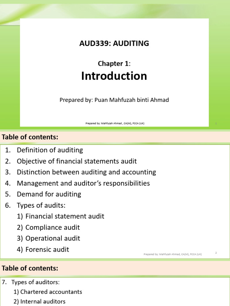 Overview of Auditing and Auditors | PDF | Audit | Financial Audit