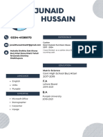Junaid Hussain CV